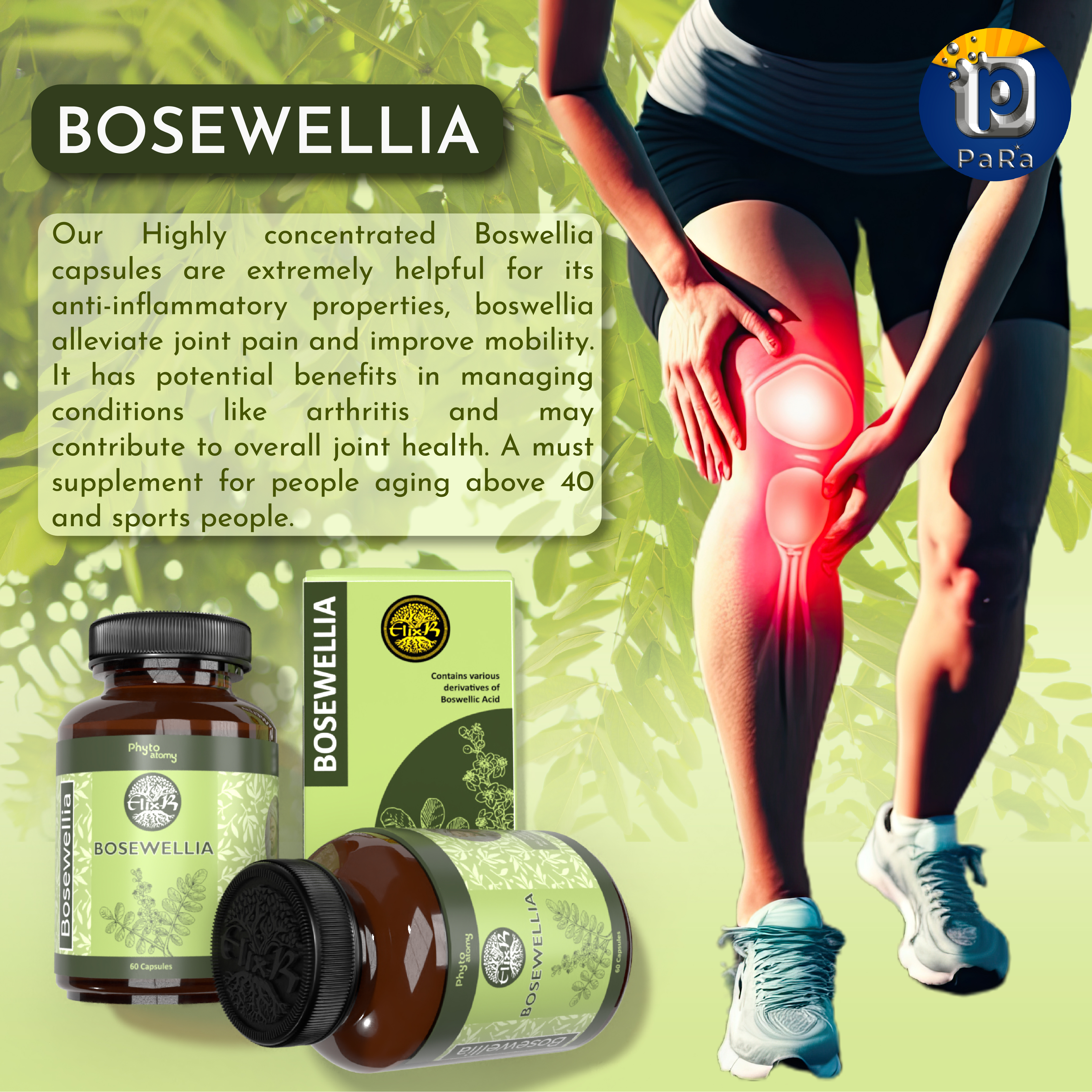 Bosewellia (60 Capsule) - HS00532