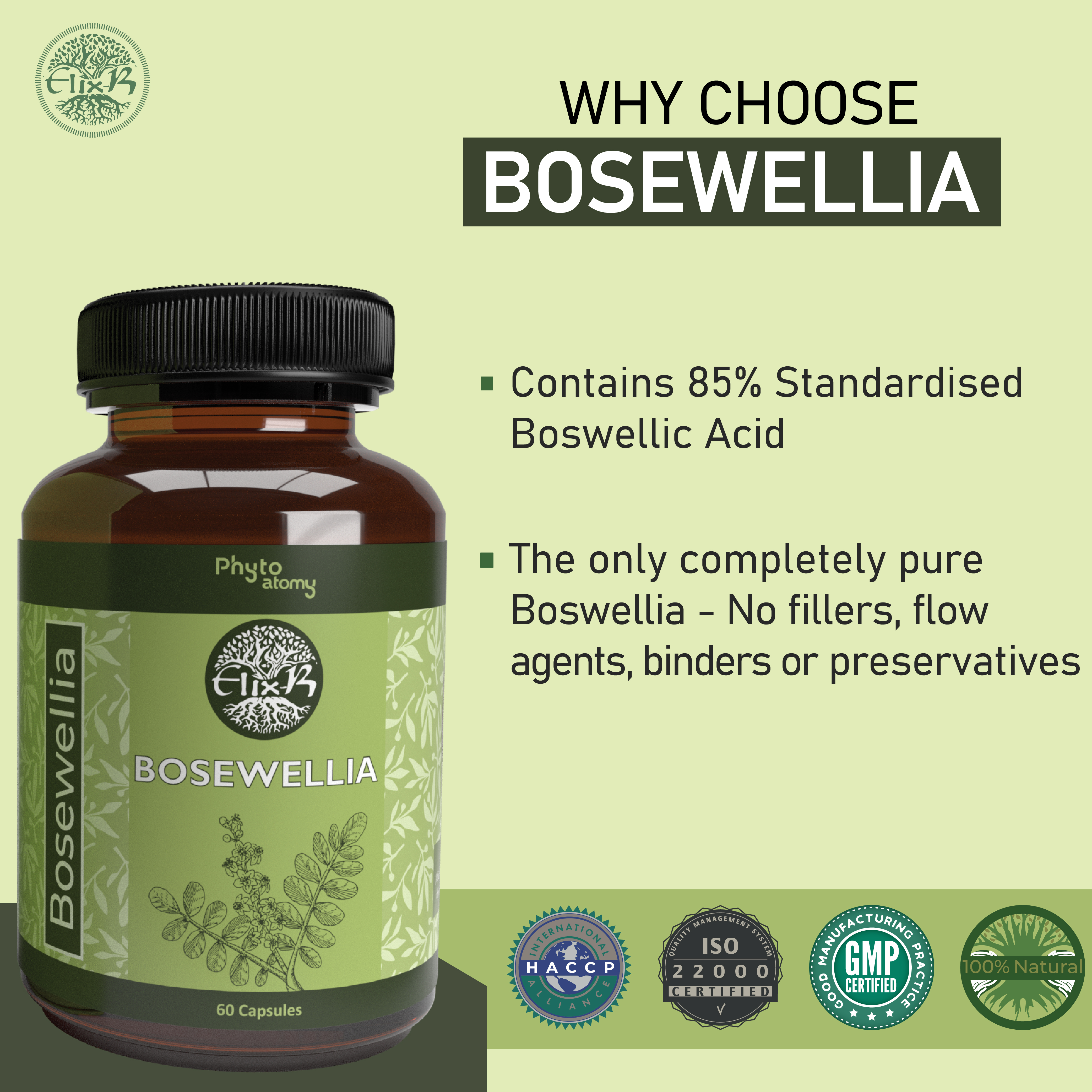 Bosewellia (60 Capsule) - HS00532