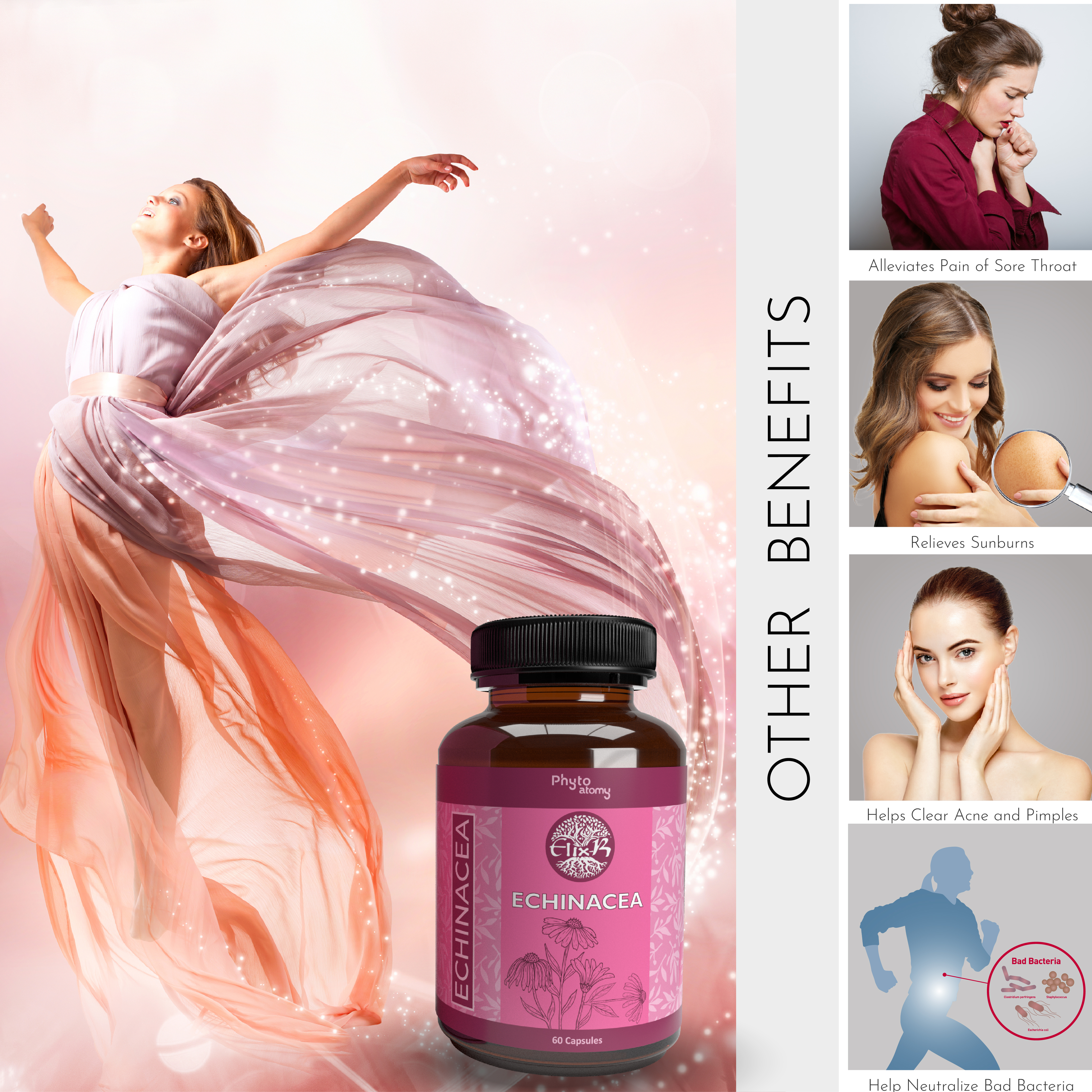 Echinacea (60 Capsule) - HS00534