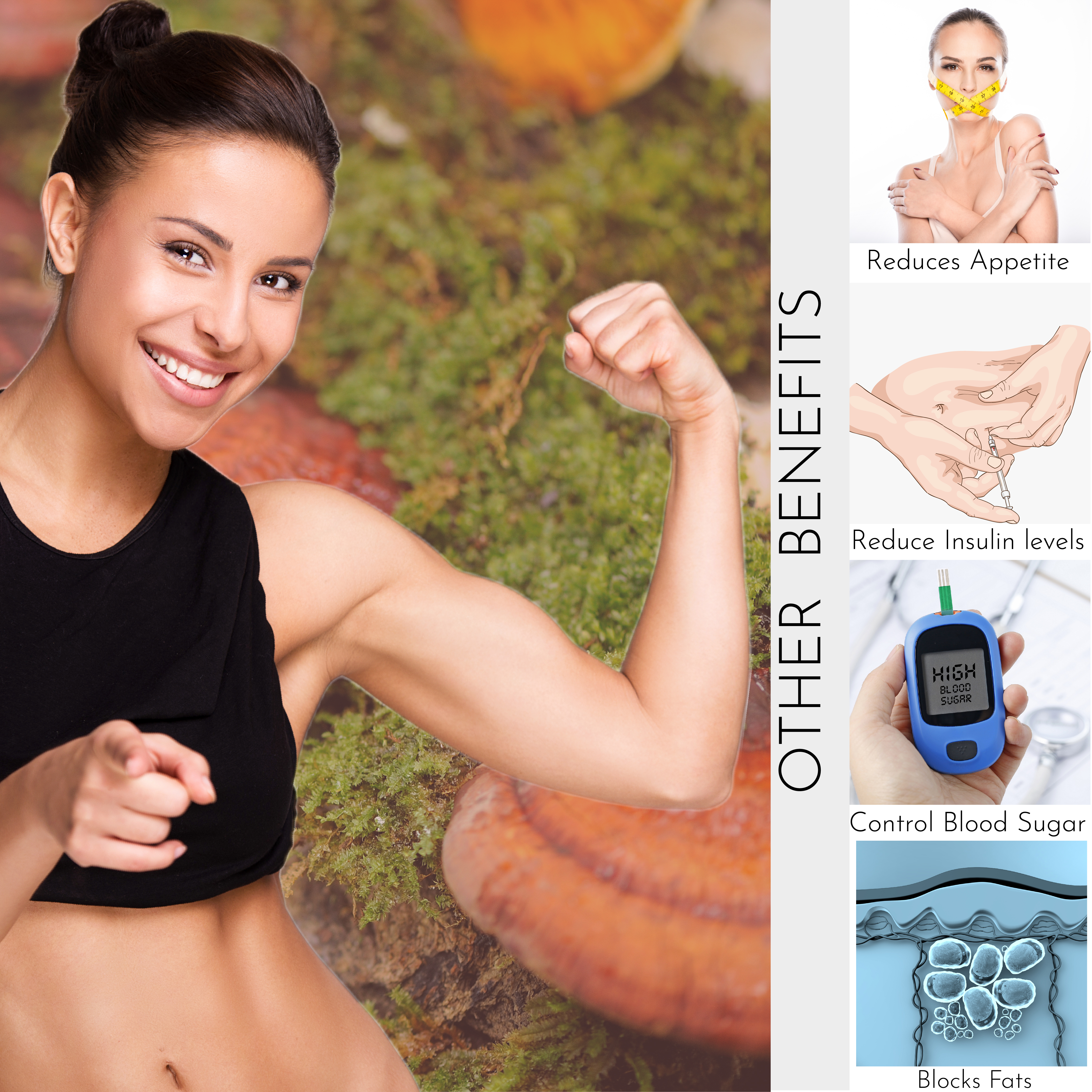 Ganoderma (60 Capsule) - HS00535