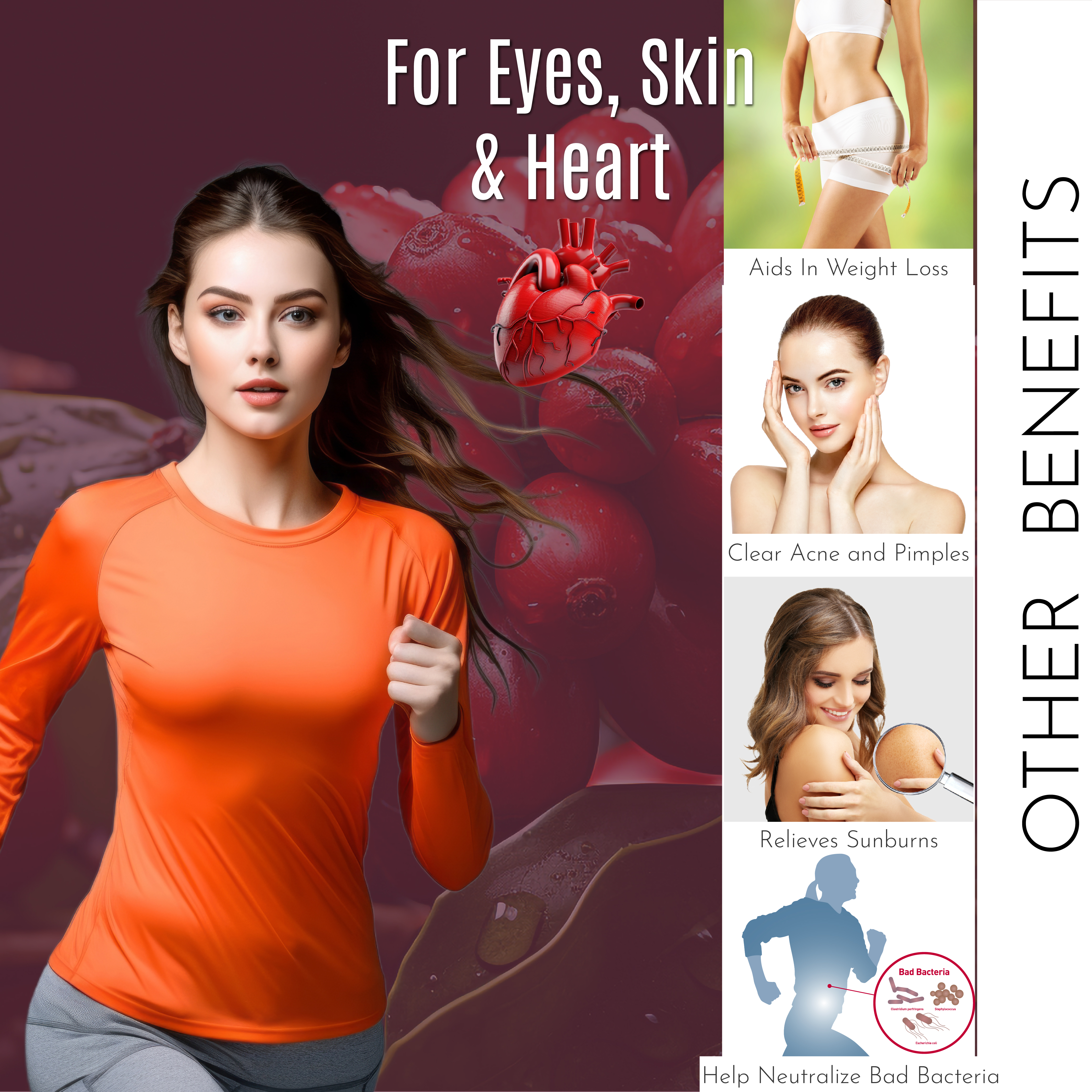 Goji Berry (60 Capsule) - HS00539