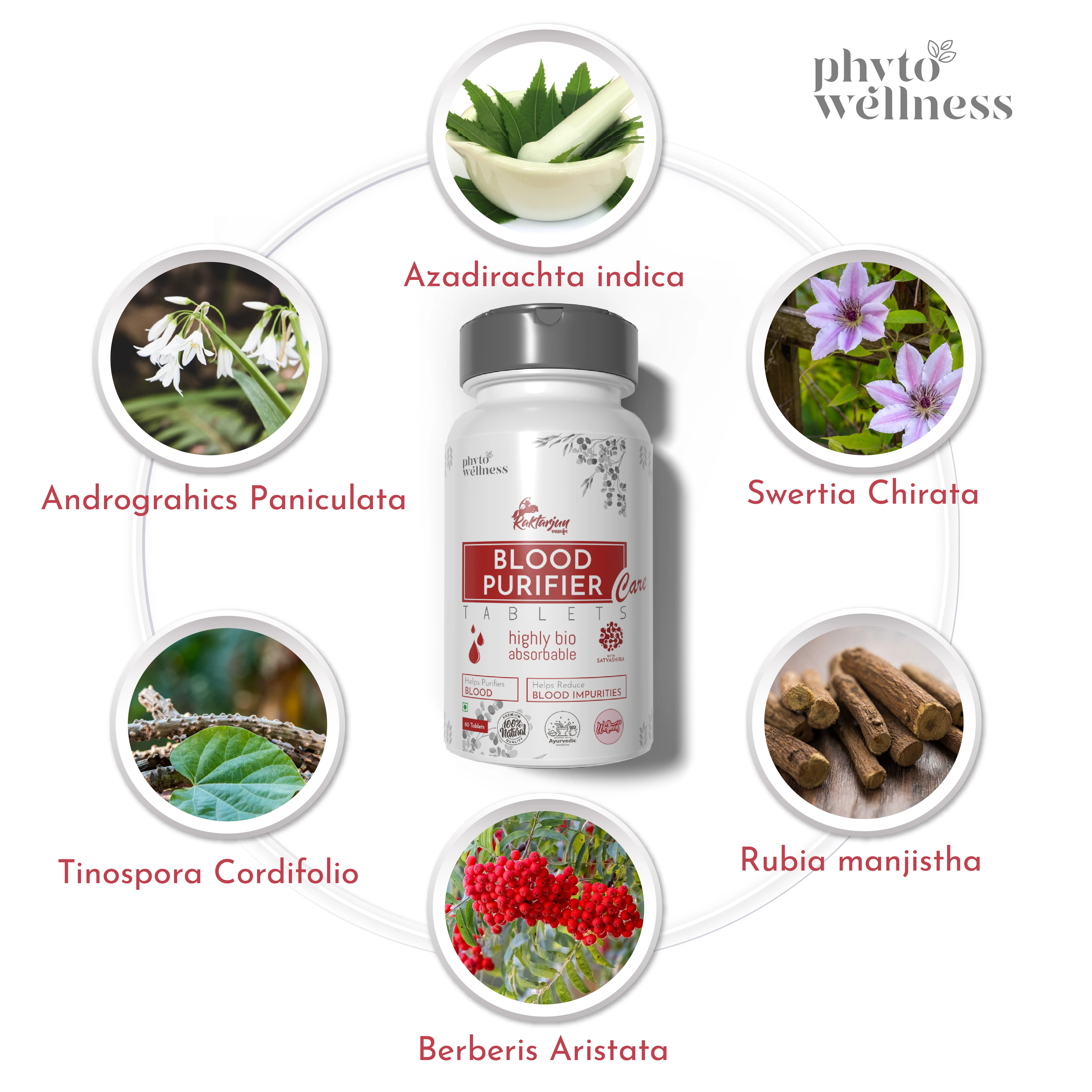 Probiotic Blood Purifier Care 60 Tablets (HS00598)