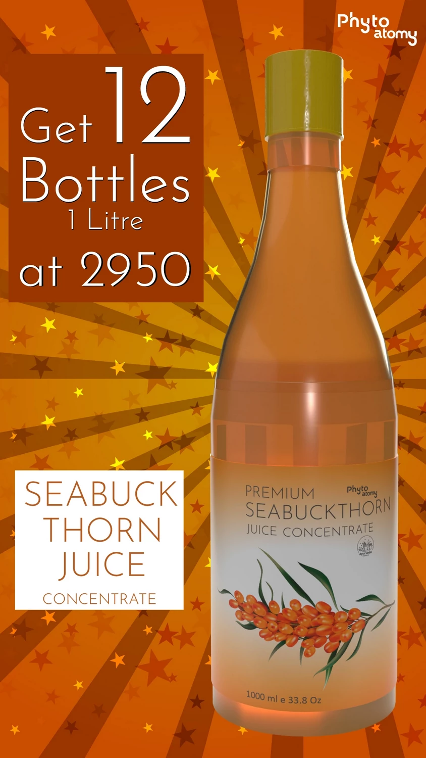 RBV B2B Seabuckthorn Juice Concentrate 1Ltr. (12 Bottle)