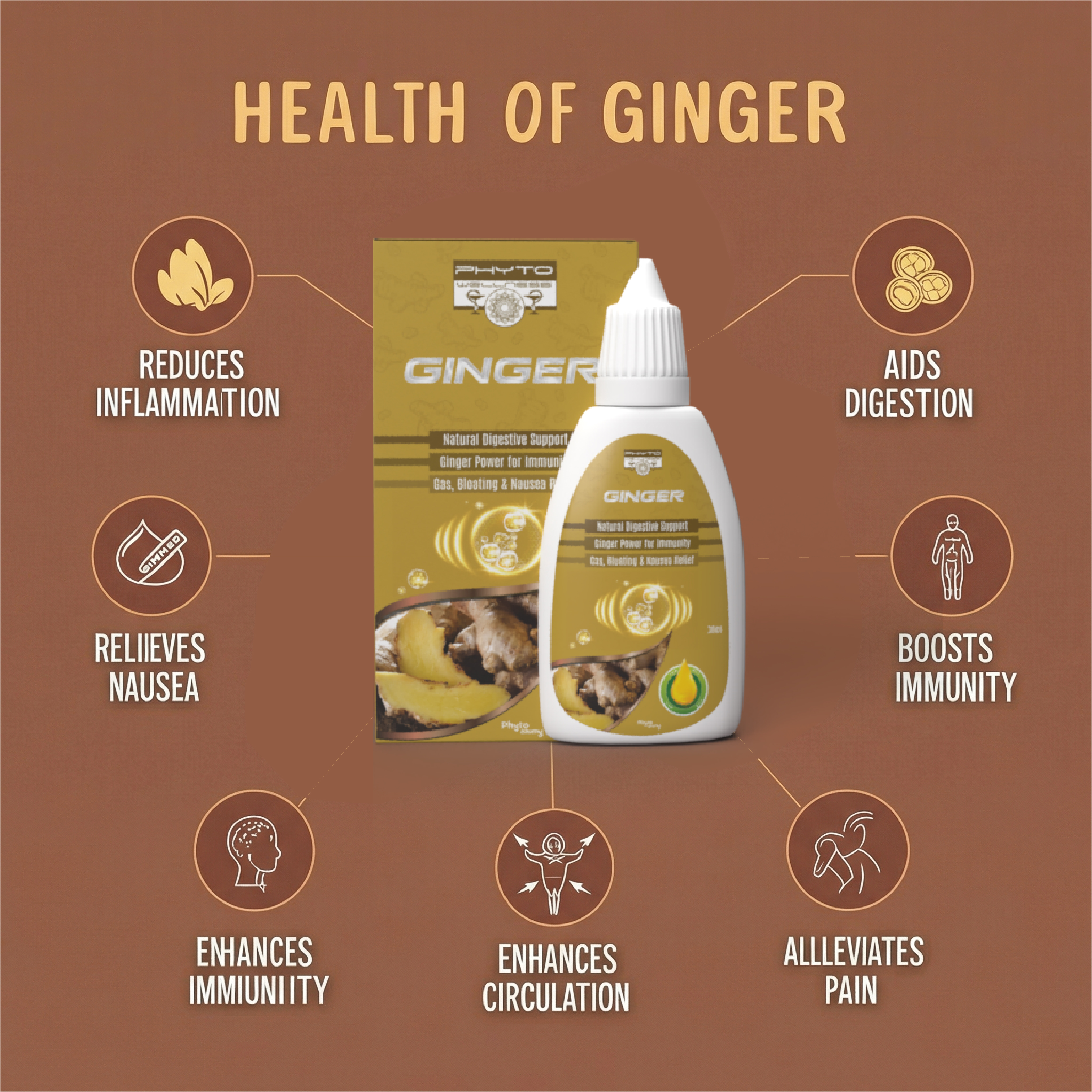 RBV B2B Ginger Drop (30Ml) (45 Pcs) (SP1604)